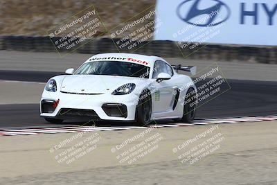 media/Aug-23-2024-Speed Ventures (Fri) [[92f1efc5e7]]/Red/Session 1 (Turn 3)/